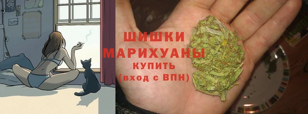 apvp Михайлов