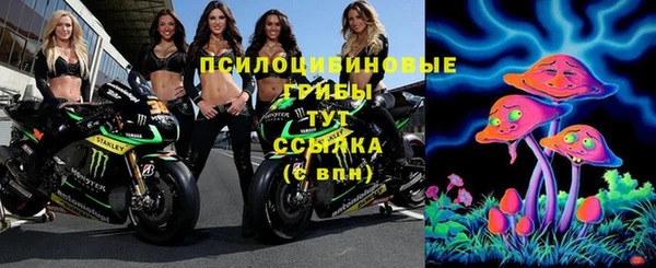 бутират Медвежьегорск