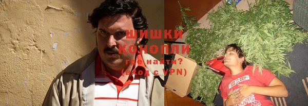 гидра Михайловск