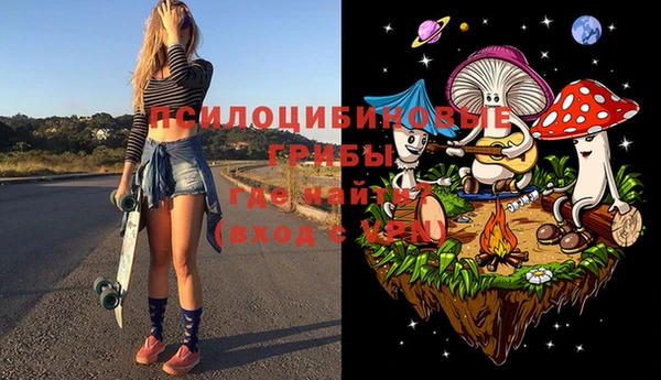 apvp Михайлов
