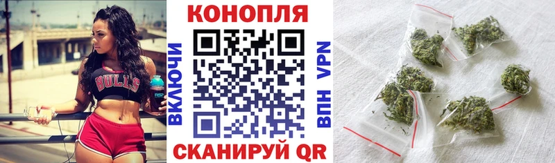 Бошки Шишки гибрид  Купить где  Отрадный 